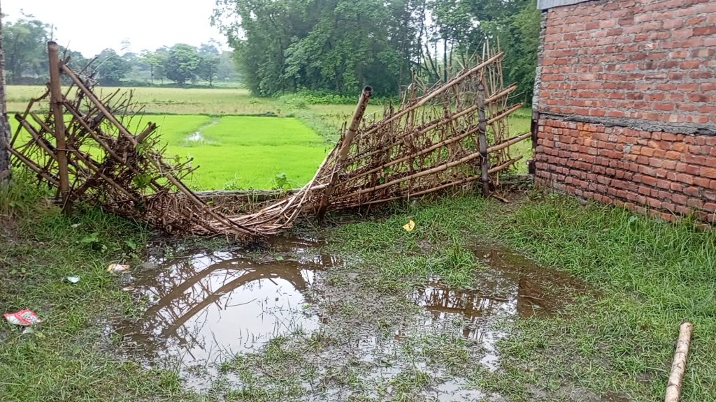 मधुवनकाे धनजित आधारभुत विधालयमा जंगली हात्तीले ताेडफाेड गरेको छ